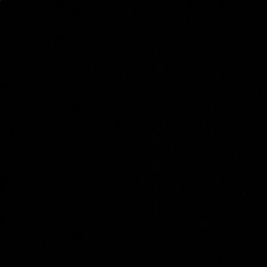 Meet your Posher, Benjamin